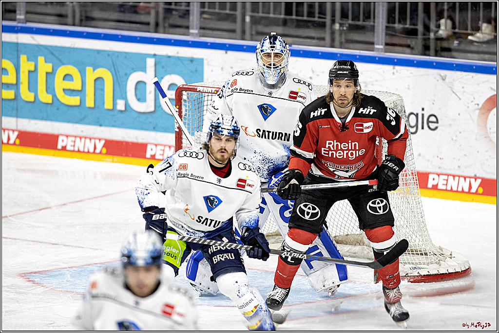 PENNY DEL;  Koelner Haie - ERC Ingolstadt; Koeln, 03.04.2022